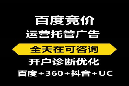 竞价托管与SEO结合的案例分析
